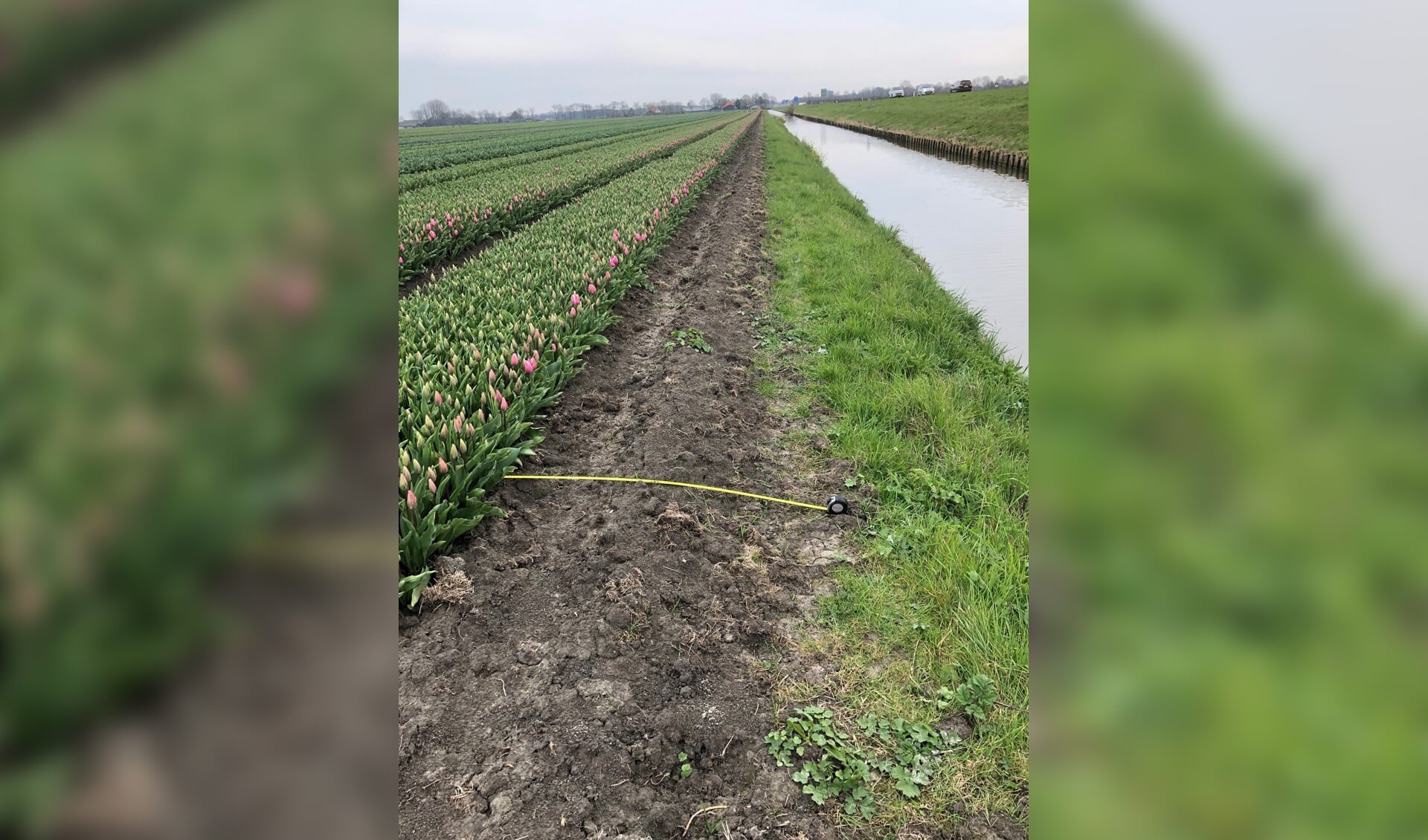 Hoogheemraadschap voert jaarlijkse controle afvalwater bollentelers uit