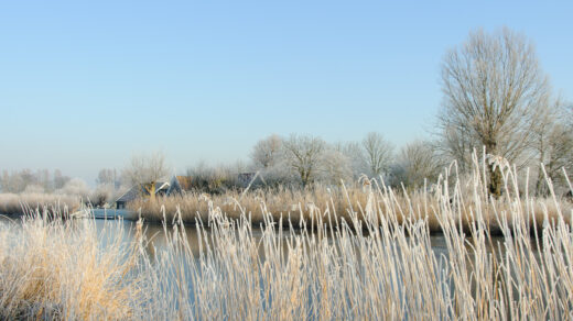 Wintertocht door een sfeervolle Eilandspolder