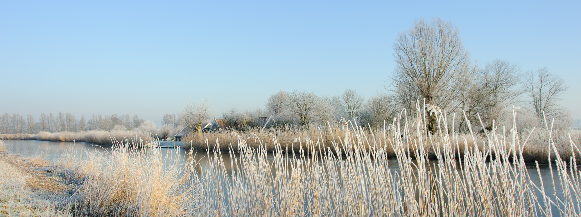 Wintertocht door een sfeervolle Eilandspolder