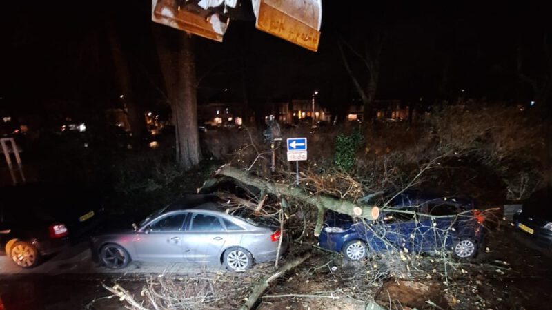 Beperkte stormschade in Alkmaar