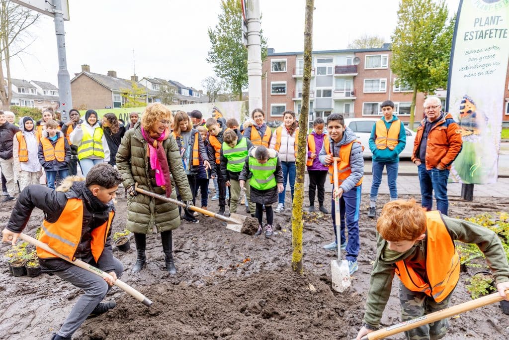 Een groene stoep langs de Vondelstraat – Plantestafette 2025 was een succes