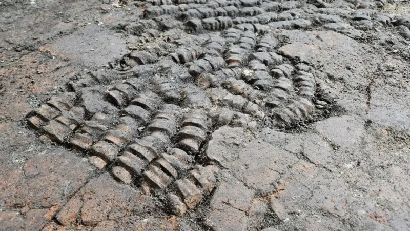 Mysterieuze vloer van botten gevonden in Alkmaar tijdens archeologisch onderzoek