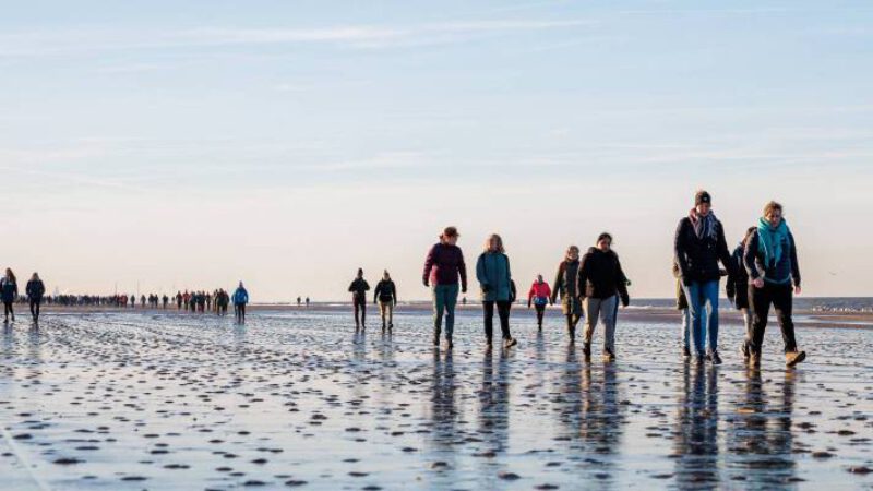 Egmond Wandel Marathon viert 20e editie met strand, duinen en uitdaging