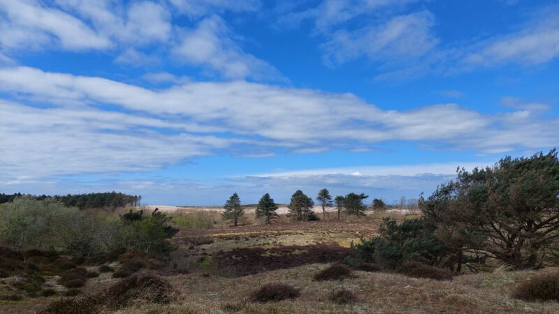 IVN organiseert op 8 december Winterwandeling door Bergense duinen 