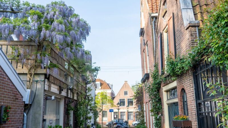 Maak uw buurt groener met Groen voor Elkaar!