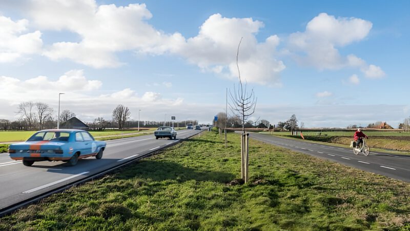 Provincie Noord-Holland plant haag langs de Braken (N194) bij Obdam