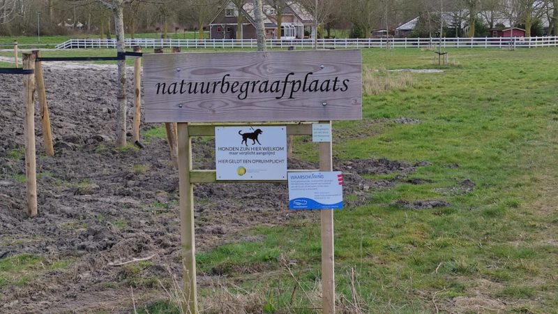 Dieuwertje Blok begraven in Koedijk: 'Het was warm met veel bloemen en kleur'