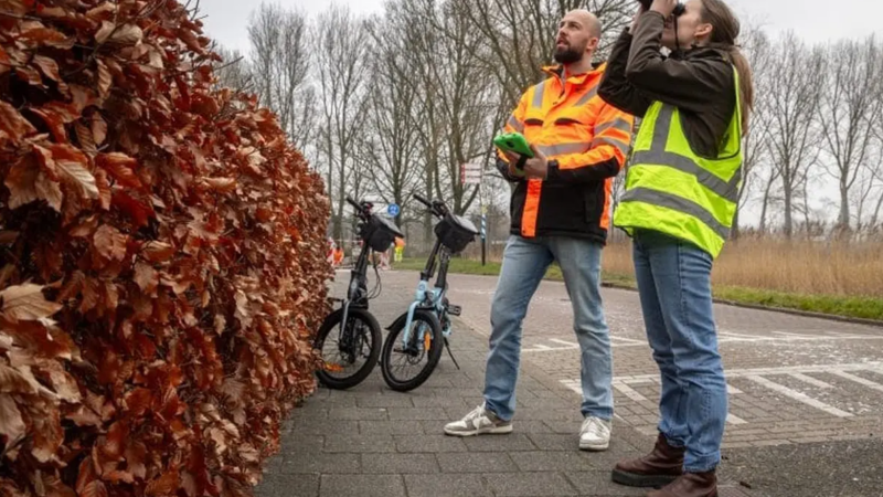 Gemeente Alkmaar inventariseert beschermde vogel- en vleermuissoorten