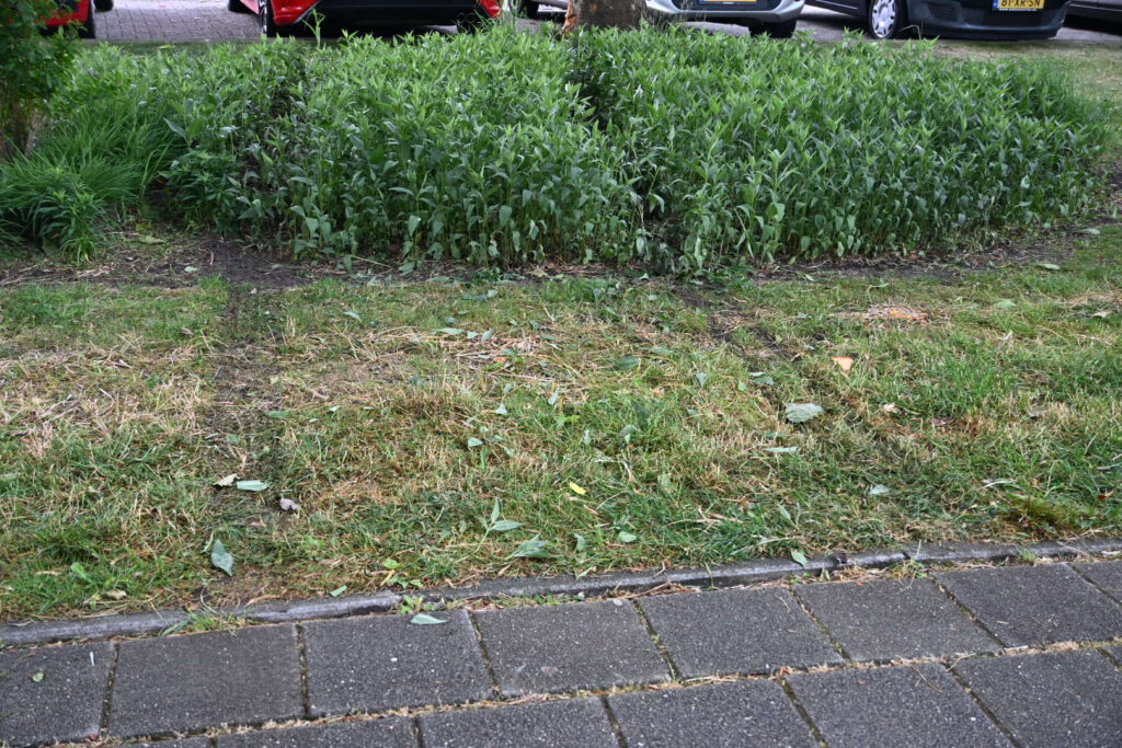 Auto botst tegen boom in Alkmaar