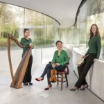 Sprankelende Ierse muziek in Het Witte Kerkje in Groet