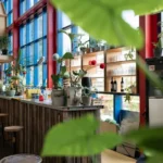 Zondag 22 juni Kledingruildag en tweede kans plantenmarkt bij Stadsfabriek Alkmaar