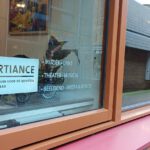 SPOTival bij Artiance met meer dan alleen een expo