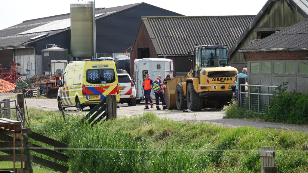Man dood na aanval door stier in Stompetoren (FOTO'S)