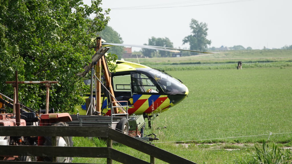 Man dood na aanval door stier in Stompetoren (FOTO'S)