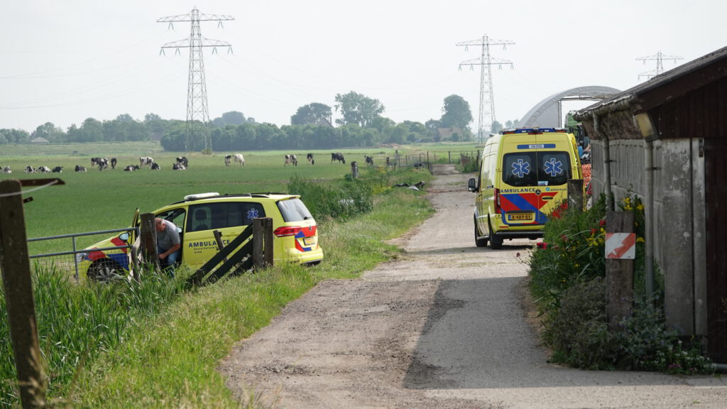 Man dood na aanval door stier in Stompetoren (FOTO'S)