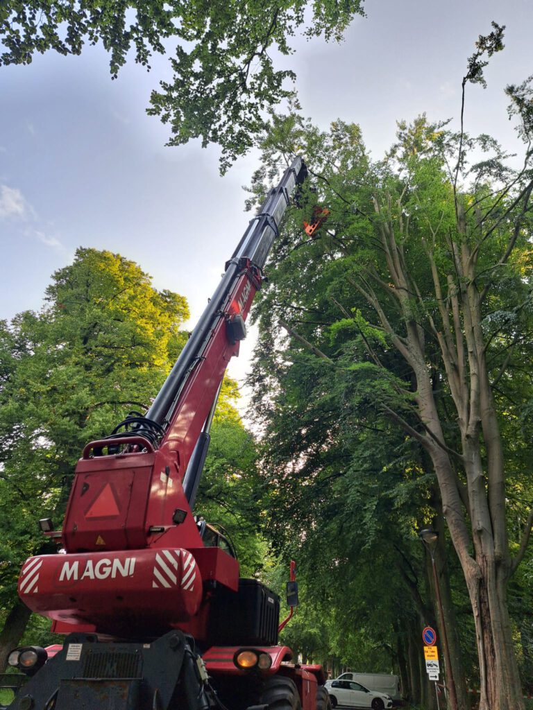 Beuken ingesmeerd met ‘zonnebrandcrème’ [FOTO'S]