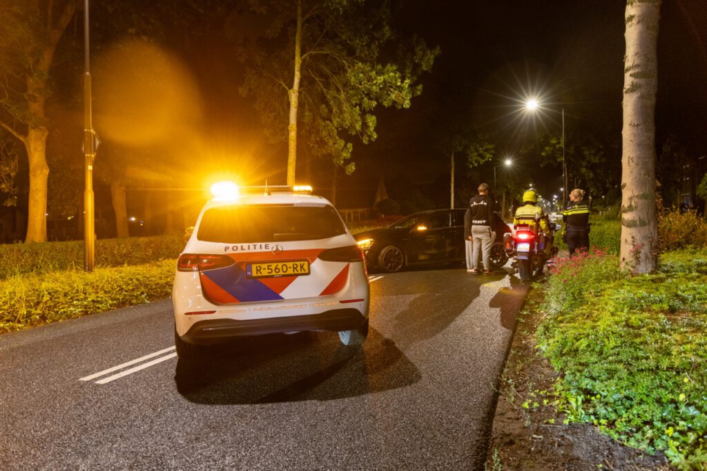 Zestig tal koeien ontsnapt en veroorzaken schade aan oplettende automobilist in Heerhugowaard