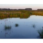 Wandel mee langs de Kleimeer en door het Geestmerambacht
