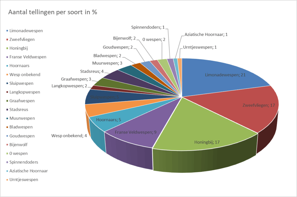 Zijn er echt meer wespen dit jaar? Ontdek het zelf tijdens de Nationale Wespentelling