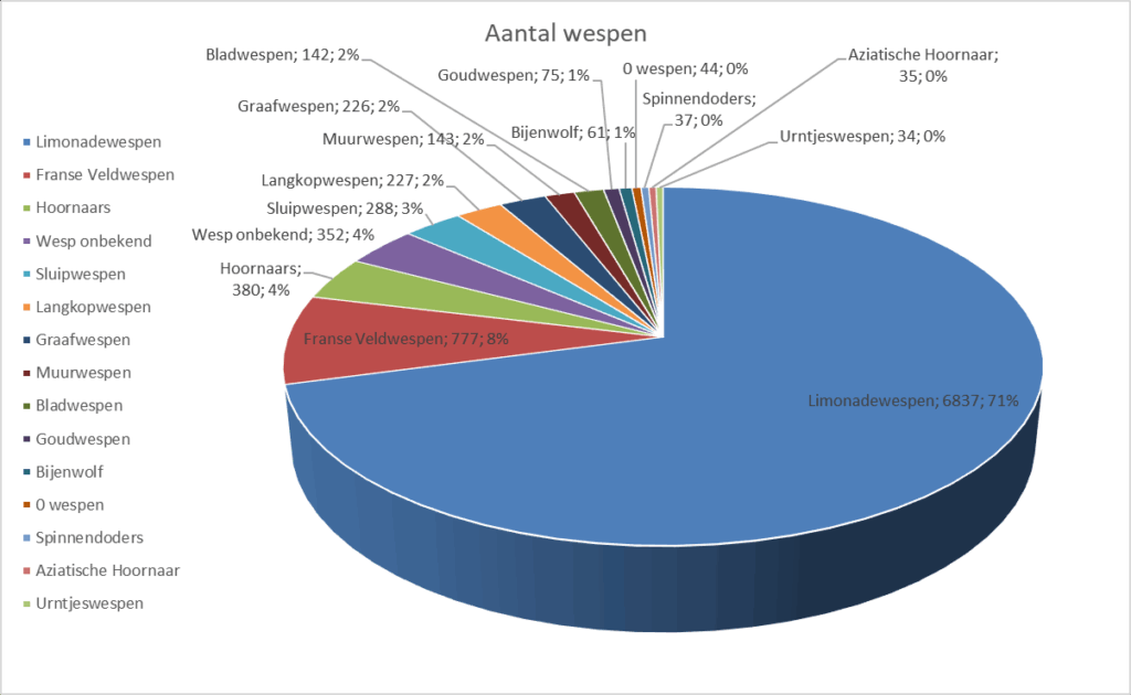Zijn er echt meer wespen dit jaar? Ontdek het zelf tijdens de Nationale Wespentelling