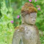 Helemaal Zen in Alkmaar